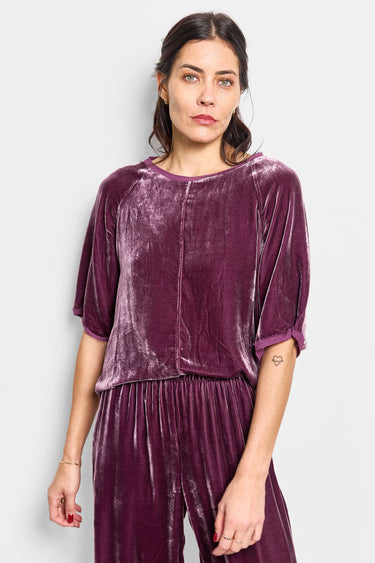 palmer velvet tee
